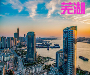 安徽省芜湖市003
