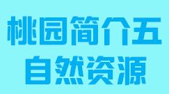 台湾省桃园市简介五自然资源005