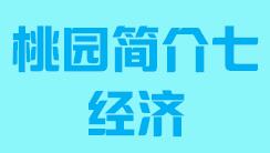 台湾省桃园市简介七经济005