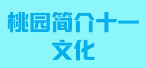 台湾省桃园市简介十一文化005