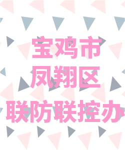 宝鸡市凤翔县联防联控办公室021