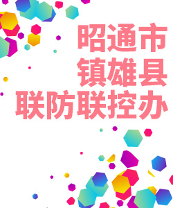 昭通市镇雄镇联防联控办公室019