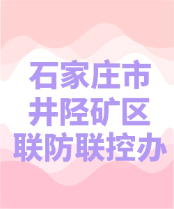 石家庄市井陉矿区联防联控办公室007