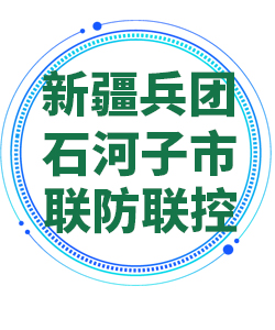 新疆兵团石河子市030